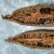 Import Factory Price High Quality Sushi roasted fresh eel fish frozen from China