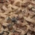 Import factory supply desert digital hunting camouflage net from China