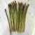 Import Fresh Asparagus,Asparagus vegetables,Fresh green asparagus from China