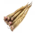 Fresh Burdock,Golden Burdock and fresh Burdock,Fresh Burdock Root