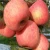 Import Fresh Fruit /apple fruit red fuji With Cheap Price from China