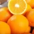 Import Fresh Orange Fruit from India