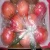 Import Fresh Red Sweet Pomegranates from Germany