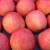 Import Fresh royal gala apple price/ iranian fresh apple in China from China