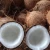 Import Fresh Style Coconuts with Husk - Tropical &amp; Sub Tropical Fruit Product From Pollachi from India