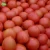 Import Fresh tomatoes will be available in a variety of specifications and packaging from China