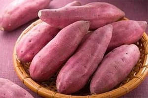 FRESH YELLOW SWEET POTATO WITH HIGH QUALITY - TOP CHEAP PRICE NOW