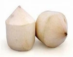 FRESH YOUNG COCONUT - BEST PRICE FOR HOLIDAY- HIGH QUALITY