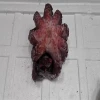 frozen big whole sea octopus from stable factory