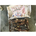 Frozen Chile squid Peru giant squid Equator squid