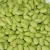 Import frozen edamame frozen blanched soybeans from China