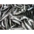 Import Frozen Sardine Fish 50-80g With Good Price from Japan
