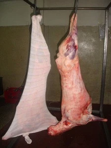 Frozen whole lamb carcass/ sheep meat