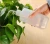 Import Garden tool succulent special small watering can spray bottle  / 250ml 500ml Squeeze tip spout watering pot can from China