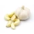 Import Garlic Fresh from India