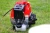 Import gasoline grass trimmer or grass cutter with nylon head or brush cutter with swing blade for sale from China