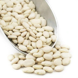 Good Price Best Quality Butter Beans