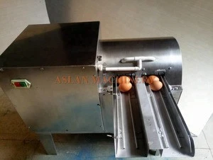 goose egg cleaning machine/chicken egg washer for sale/duck egg washing machine