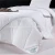Import Goose feather comforter set duck down feather filled comforter from China