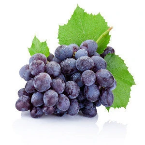 grape seed essential oil/fresh grape seed oil/95% opc grape seed extract