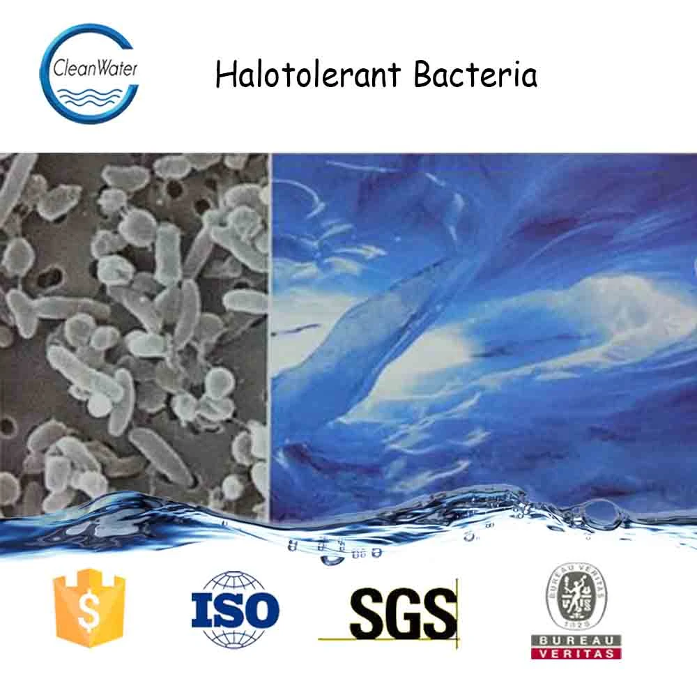 Halotolerant Bacteria Cleanwater Chemicals