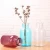 Import Haonai wide mouth reagent bottle creative decoration glass vase from China