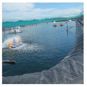 HDPE Geomembrane HDPE Price Polyethylene Lake Liner