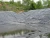 Import HDPE pond waterproof plastic sheet polyethylene fish pond liner from China