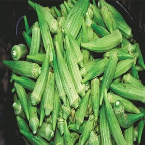 Healthy 100% Natural Freeze Okra Cross Cut for sale
