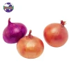 High quality carefully selected carefully planted onion suppliers