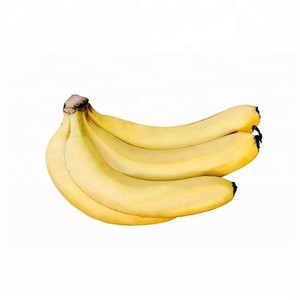 High Quality Certified Fresh Cavendish Bananas and Indian Banana with competitive price