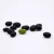 Import High Quality Crop Black Kidney Bean With Green Core from China