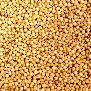 High Quality Sorghum For sale