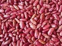 High Quality Specked Kidney Beans With Vitamin B1 And Iron