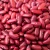 Import High Quality Speckled Kidney Beans from Ukraine