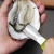 High quality stainless steel seafood oyster knife with plastic handle