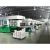 Import High Quality Sugarcane Pulp Paper Tableware Dish Tray Forming Machine from China
