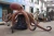 Import High Simulation Garden Decoration Resin Life Size Artificial Animatronic Octopus from China