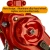 Import Hoists Chain Pulley  Manual Lever Hand Block  20 ton Chain Hoist from China