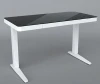 Hollin customized height adjustable desk standing table laptop or PC computer desk