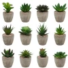 Home Decoration Artificial Succulent Plants with recycling Pulp Pot