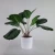 Import Home decoration potted artificial plants on desktop from China