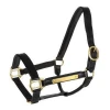 Horse Printed full color Leather Horse Halter HORSE Halter Best Quality Available All Colors For