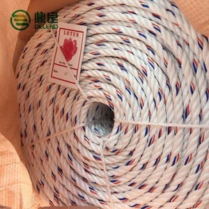 Hot Sale 3/4 Strand Twist PP/PE Fishing Rope for Malaysia and Indoneisa Market