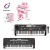 Import Hot sale electronic 61 key keyboard musical instruments with microphone from China