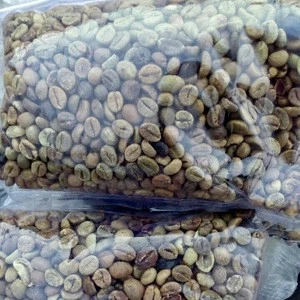 Hot sales AA Arabica Coffee Beans