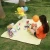 Import Hot selling camping waterproof out door camp rite picnic mat with low price from China