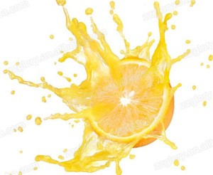 hot selling professional orange juicer/ juice making machine