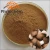 Import Immunity Enhancing AHCC Fruiting Body 40% polysaccharides by UV-VIS Pure Shiitake Mushroom Extract powder from China