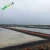 Import impermeable dam reservoir liners/epdm geomembrane liner/dam liner in kenya from China